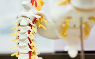 10 Tips for Maintaining a Healthy Spine and Preventing Injury