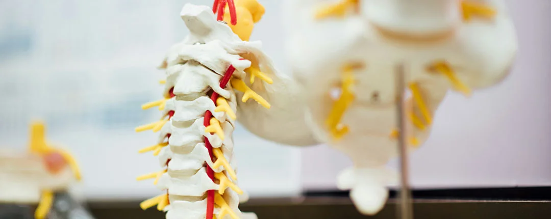 10 Tips for Maintaining a Healthy Spine and Preventing Injury